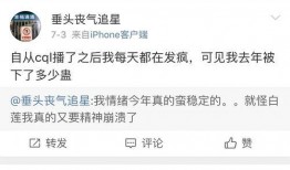 博君一肖免费吃瓜全集,免费吃瓜全集，揭秘甜蜜背后的甜蜜