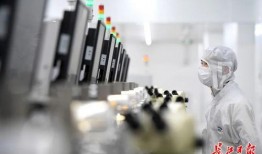 国内电子厂爆料事件视频,爆料视频揭露行业黑幕